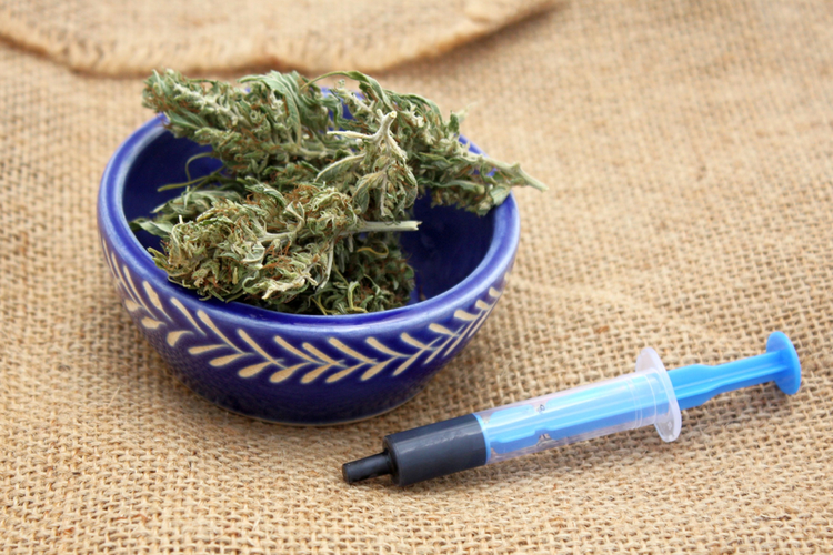 RSO - Sarasota, Florida Cannabis Dispensary