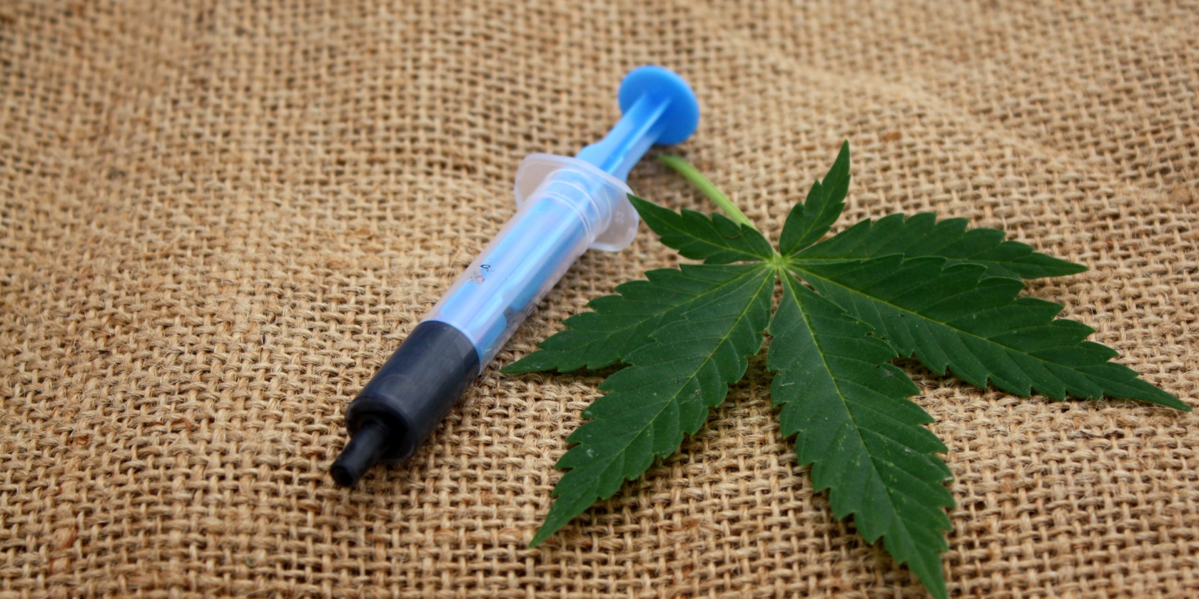 What is Rick Simpson Oil, & is it an Effective Medicine?