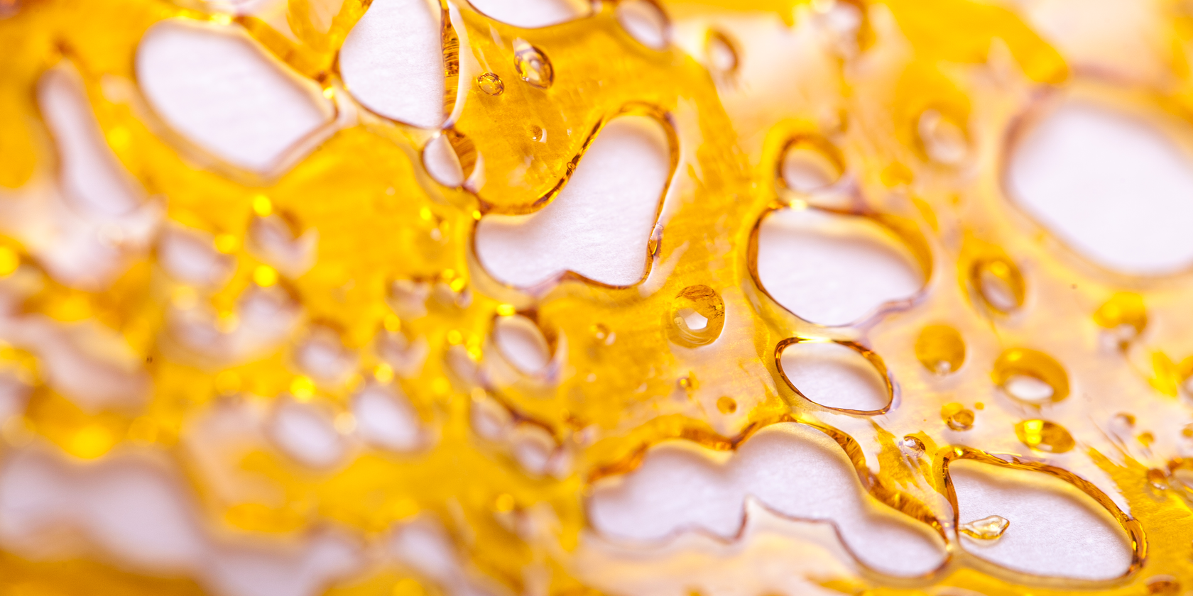 Everything You Need To Know About Cannabis Concentrates