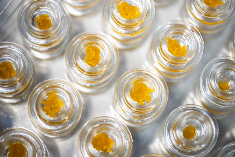 cannabis distillate 1