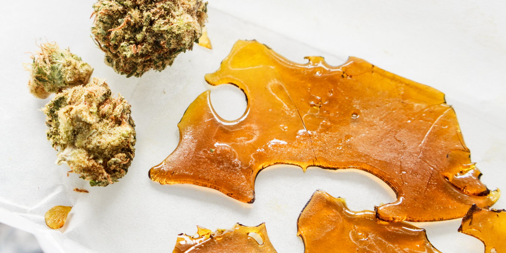 What is Shatter? We Answer that Question with Help from this Tampa Marijuana Dispensary