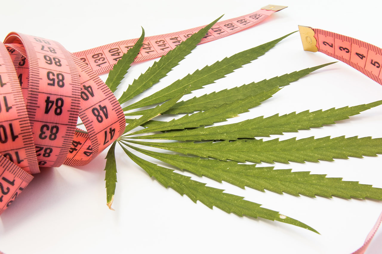 Can you lose weight with cannabis?